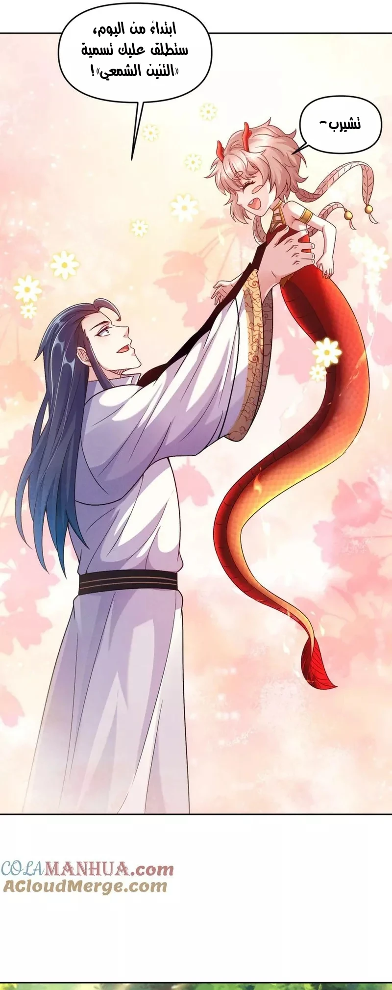Chapter Image 7