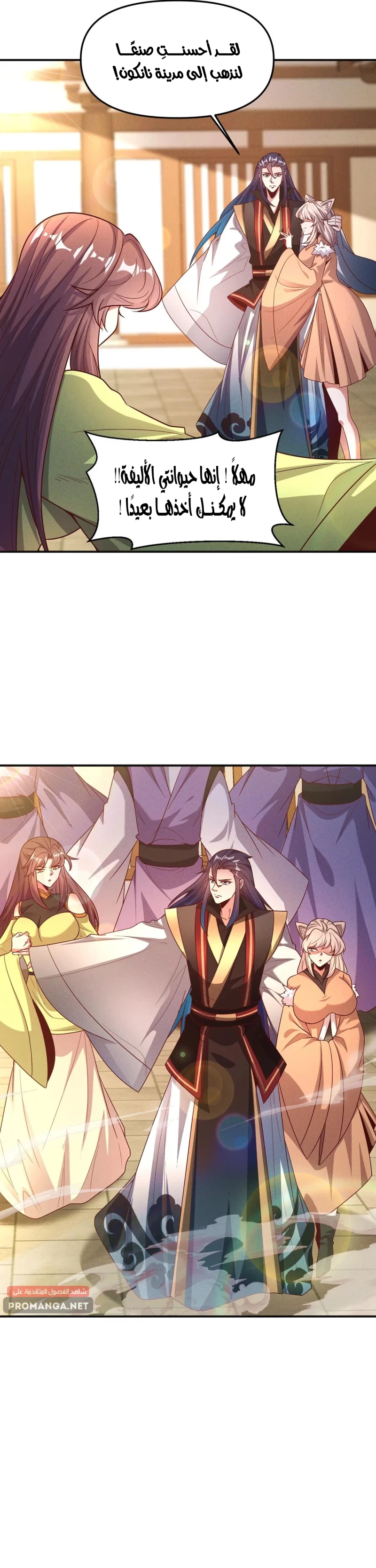 Chapter Image 4
