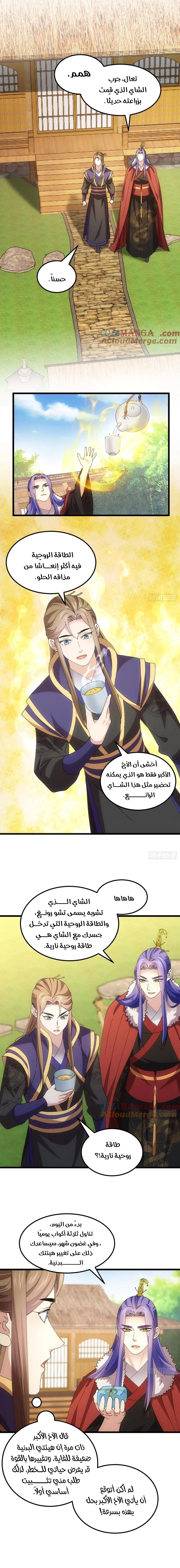 Chapter Image 4