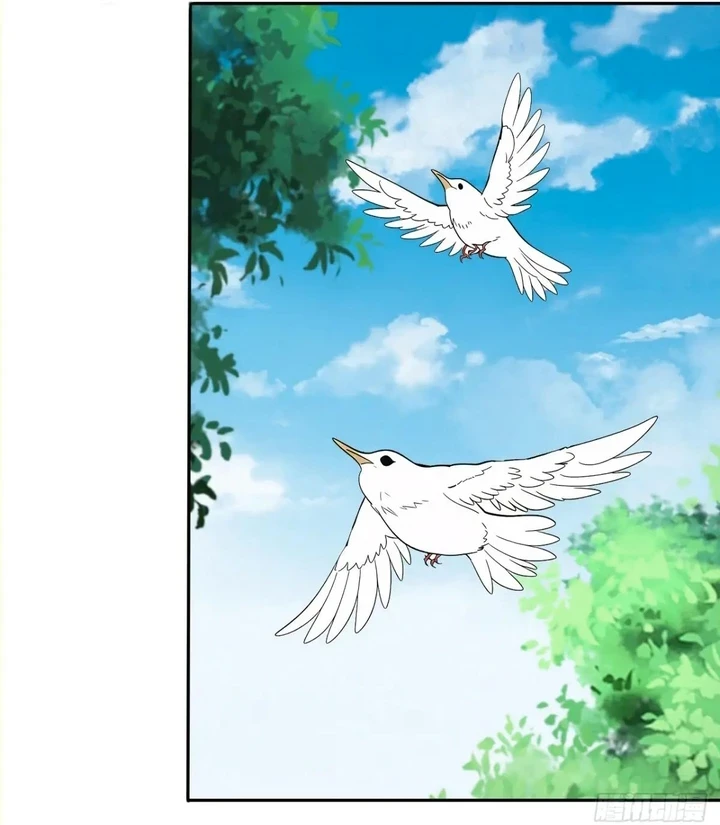 Chapter Image 19