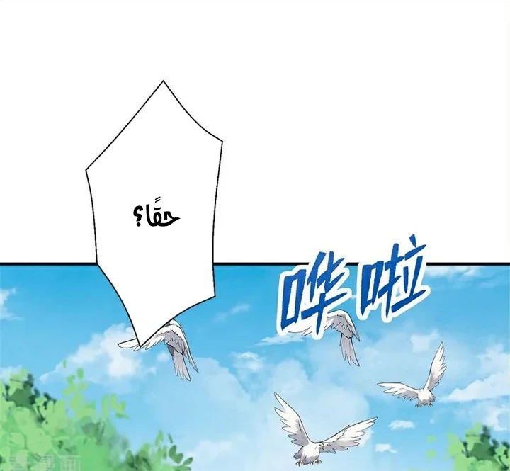 Chapter Image 48