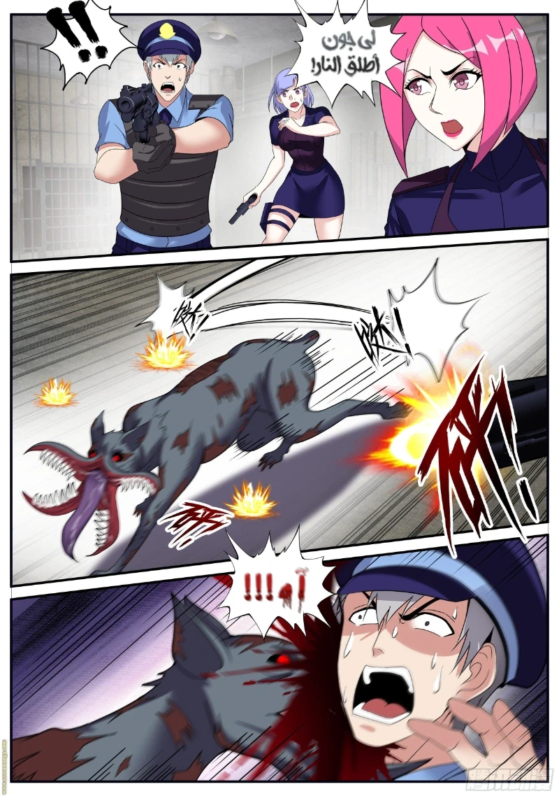 Chapter Image 5