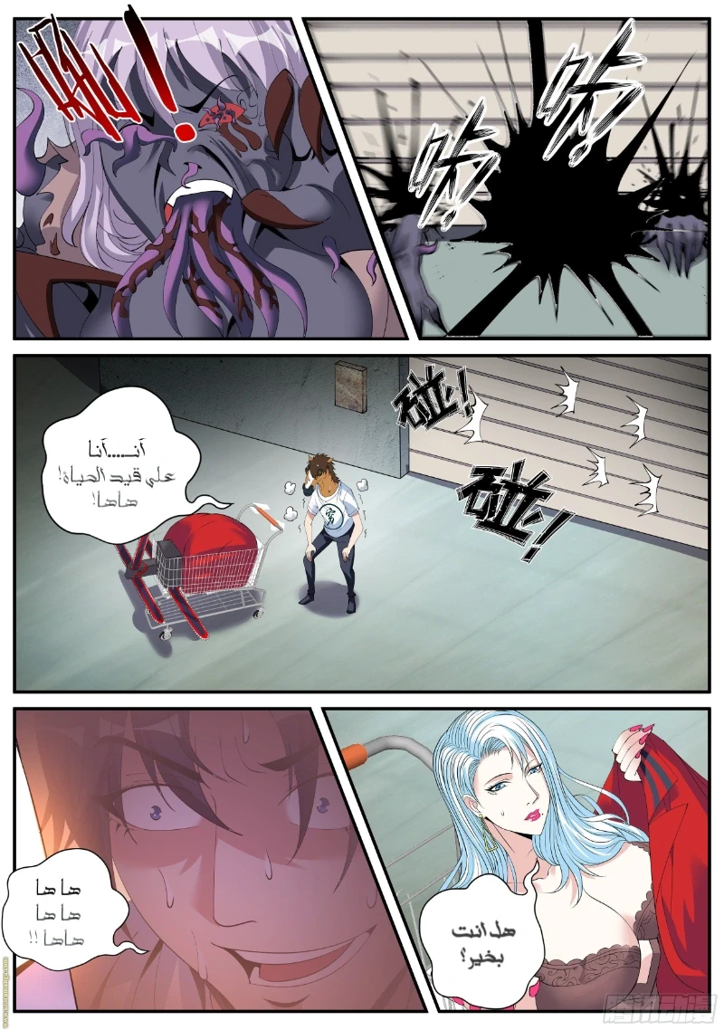 Chapter Image 5