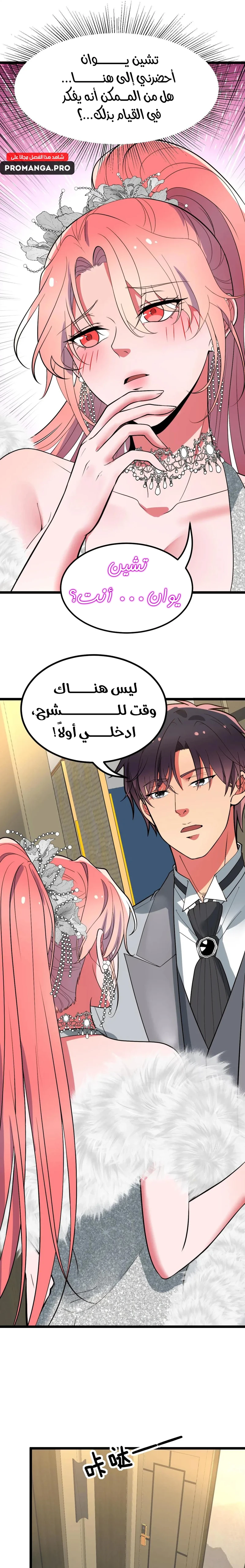 Chapter Image 3