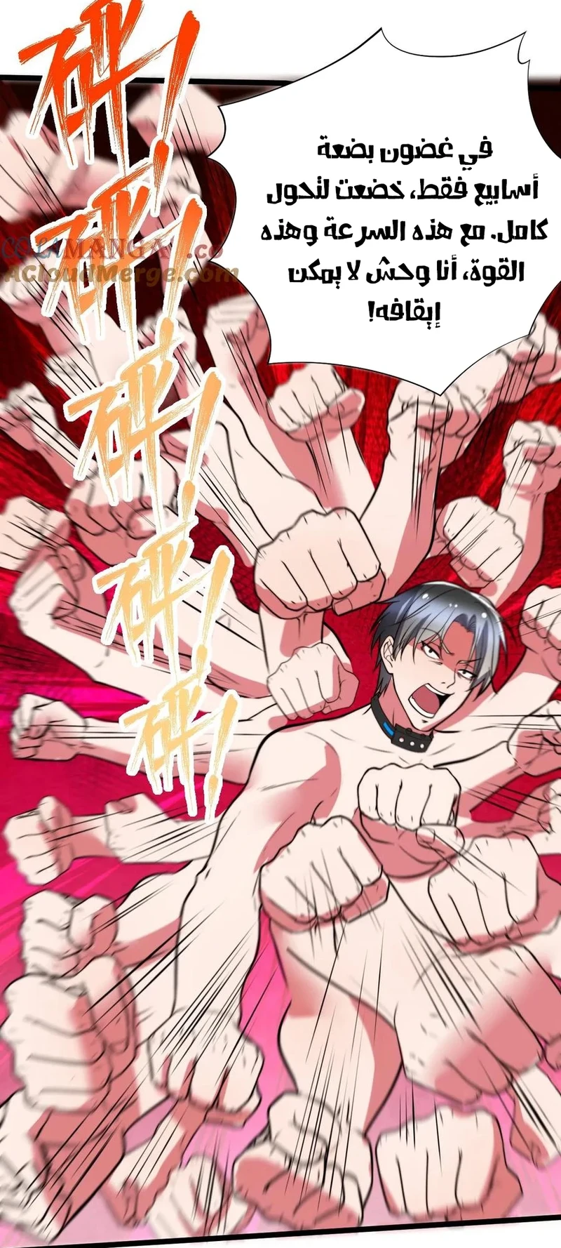 Chapter Image 8