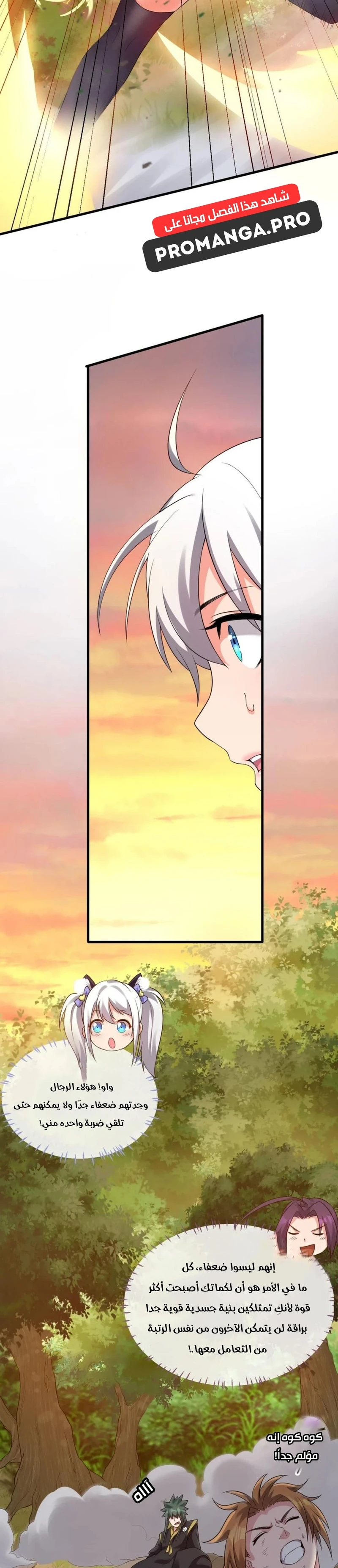 Chapter Image 17