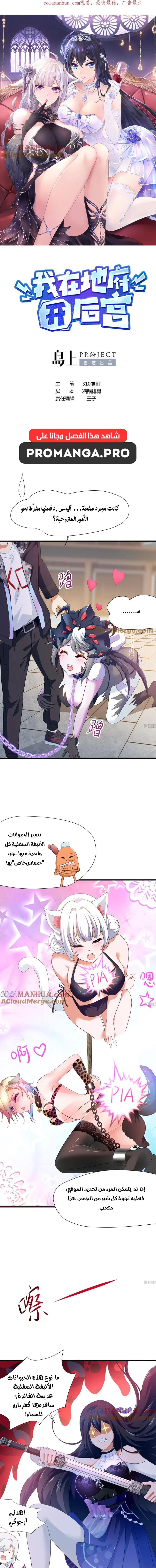Chapter Image 2