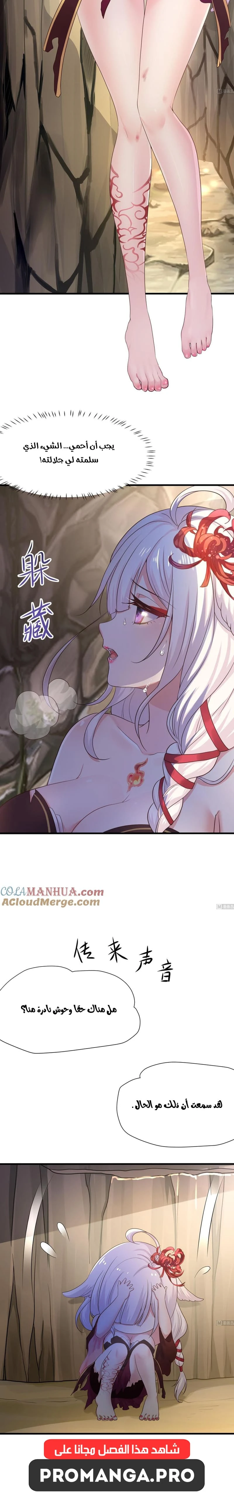 Chapter Image 5