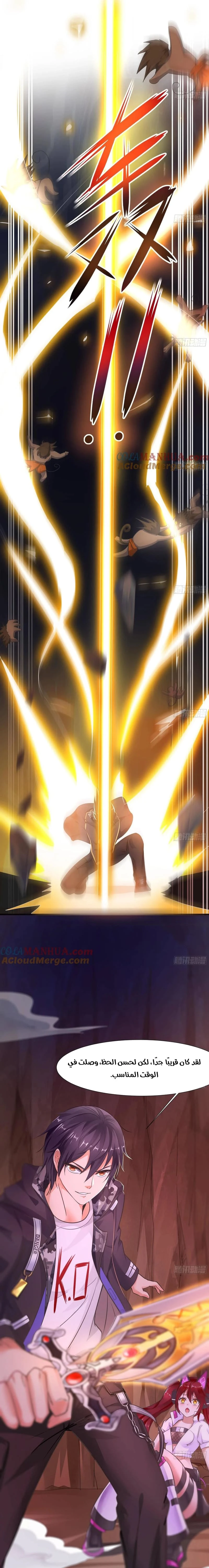 Chapter Image 5
