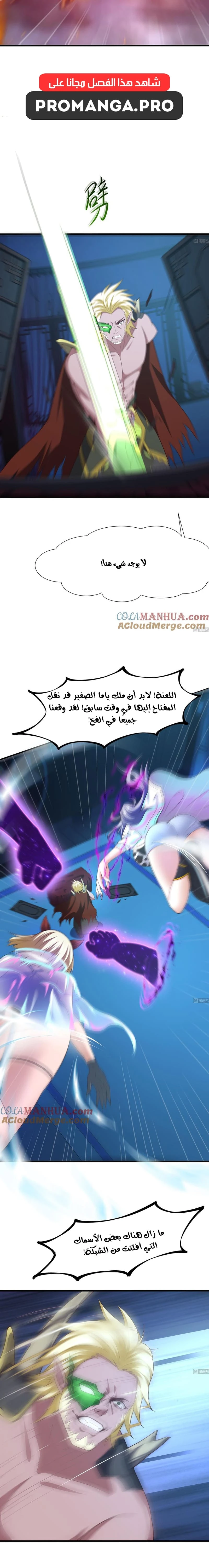 Chapter Image 5