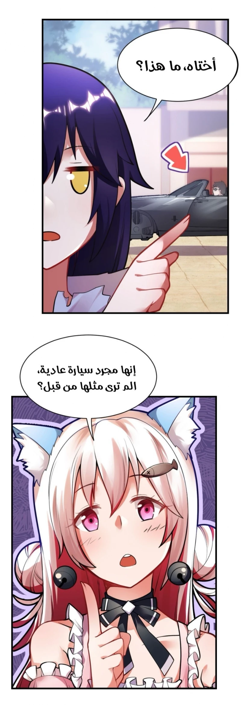 Chapter Image 2