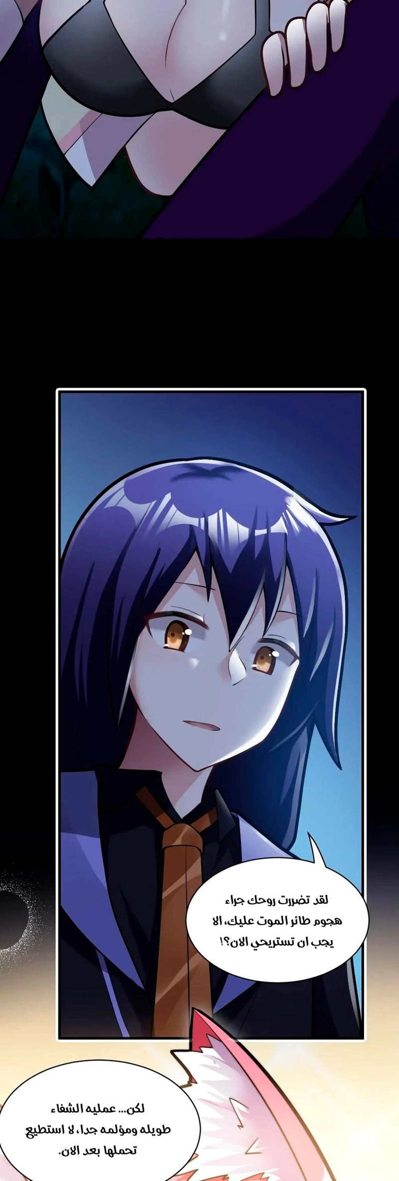 Chapter Image 12