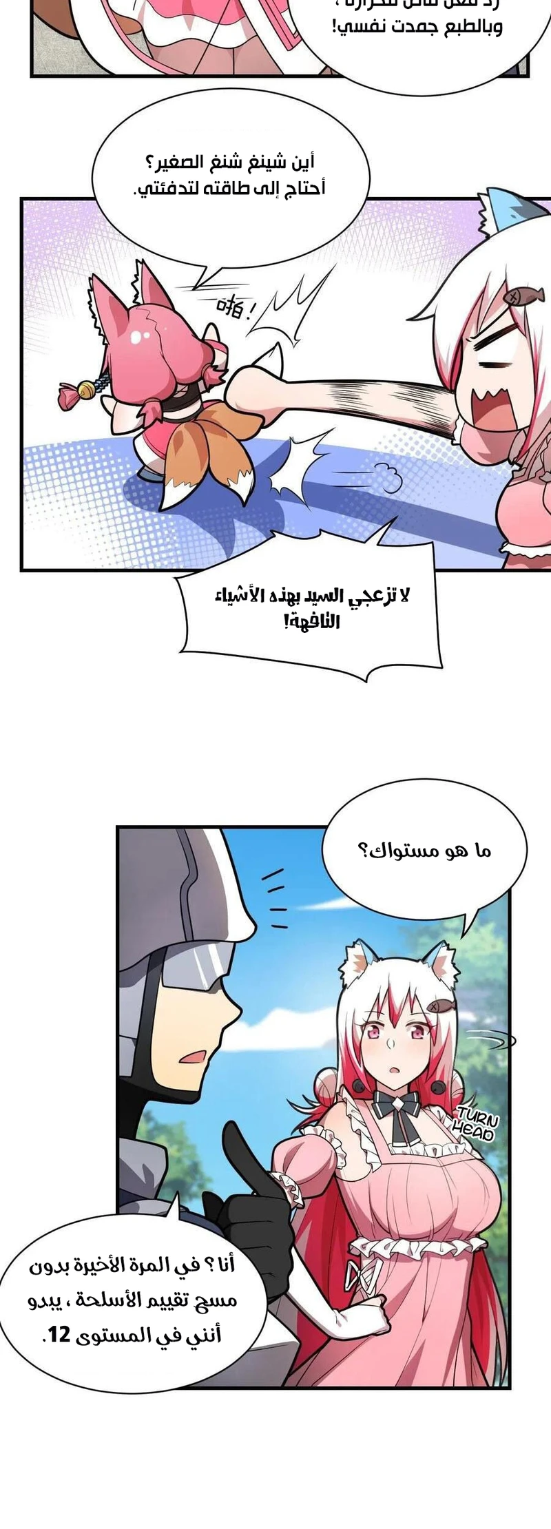 Chapter Image 25