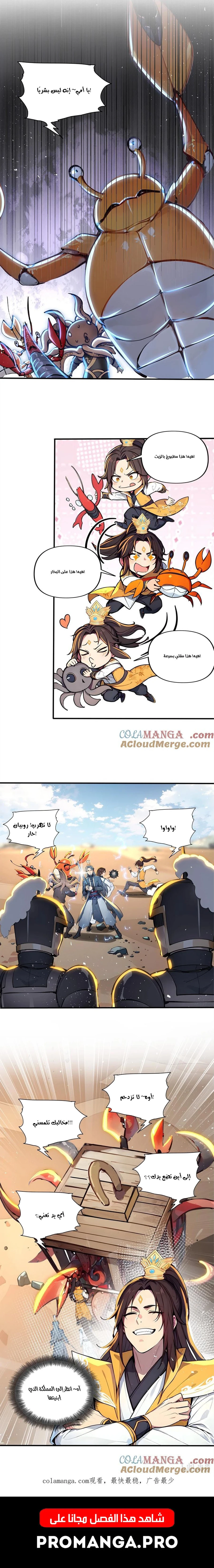 Chapter Image 5