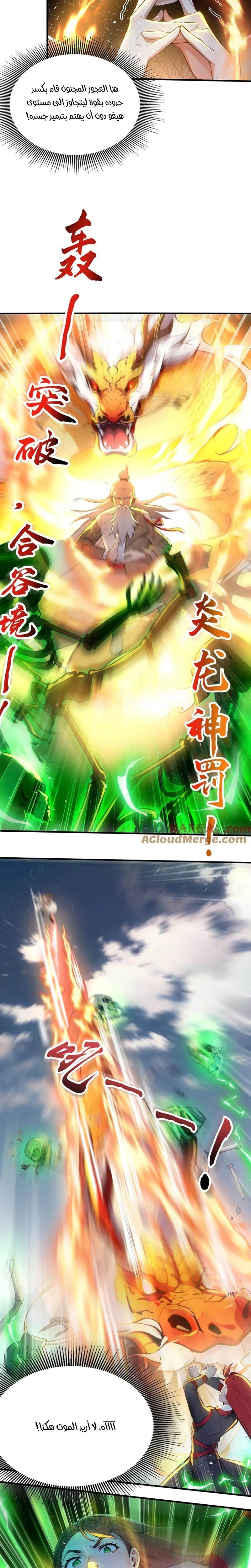 Chapter Image 5