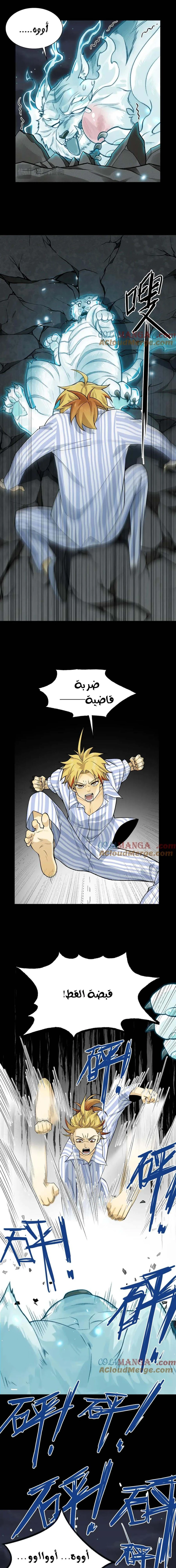 Chapter Image 15