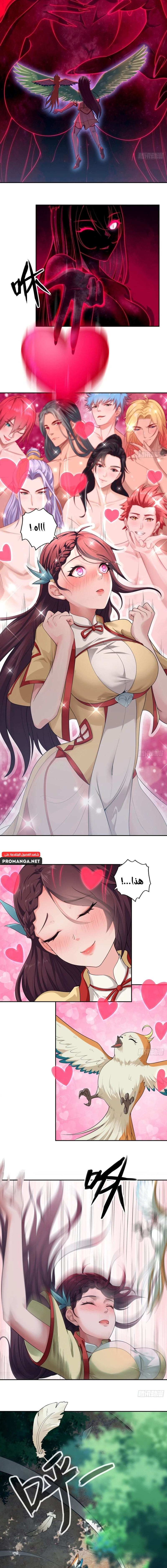 Chapter Image 2