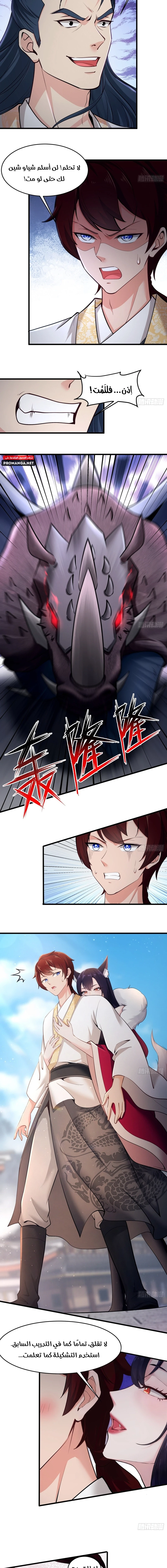 Chapter Image 4