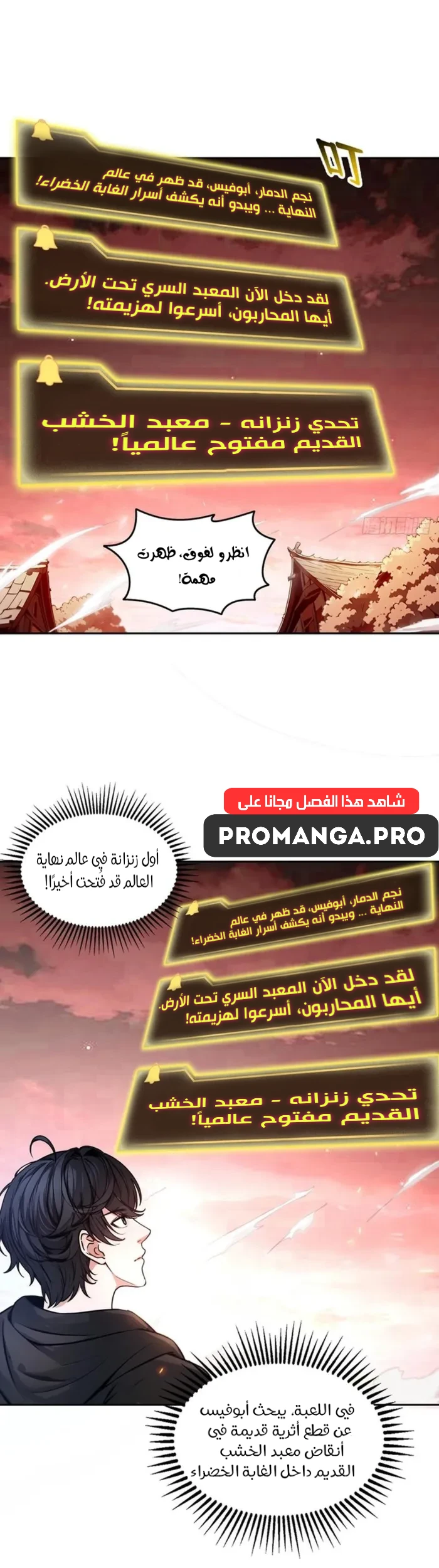 Chapter Image 4