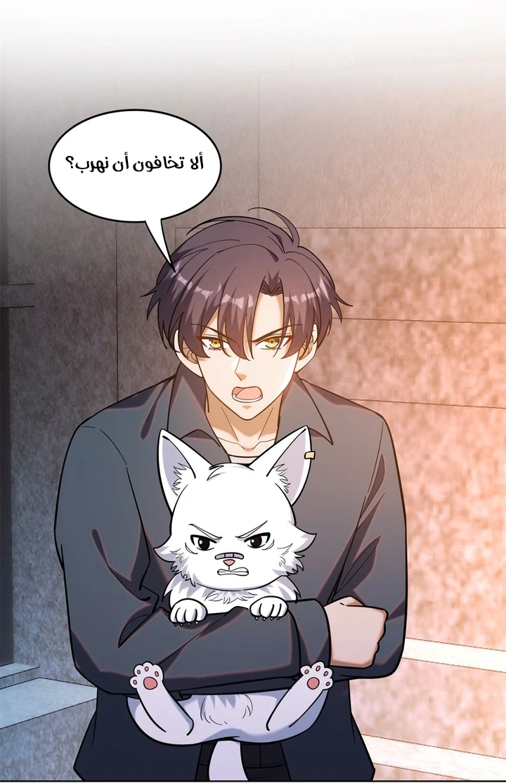 Chapter Image 13