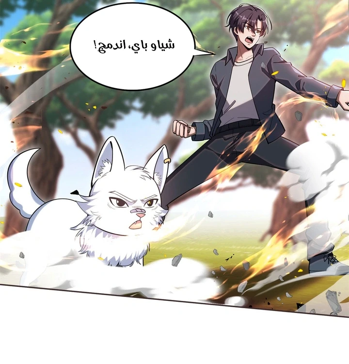 Chapter Image 19