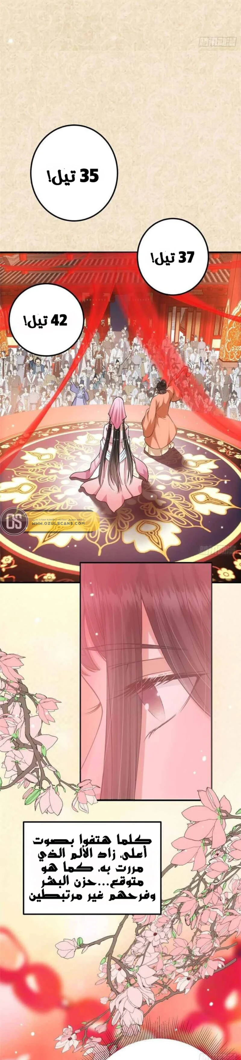 Chapter Image 15