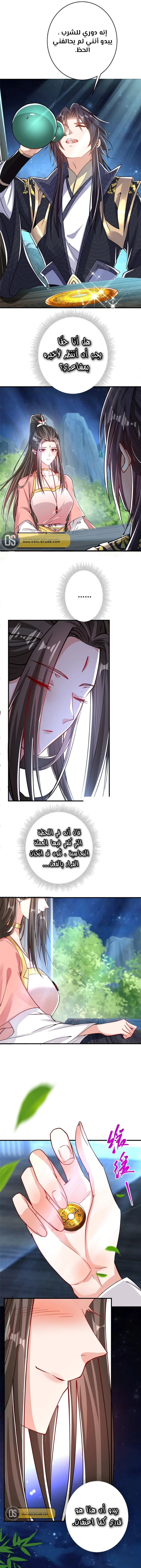 Chapter Image 4
