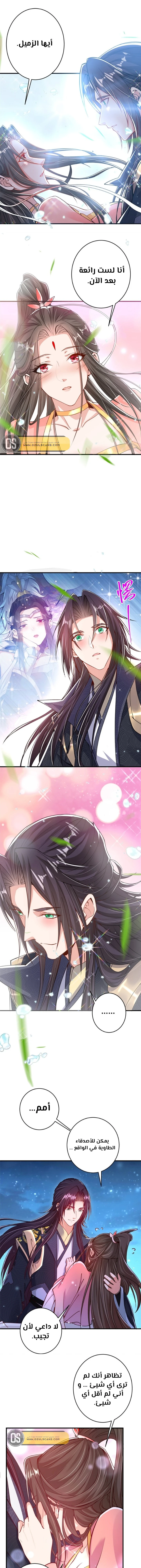 Chapter Image 8