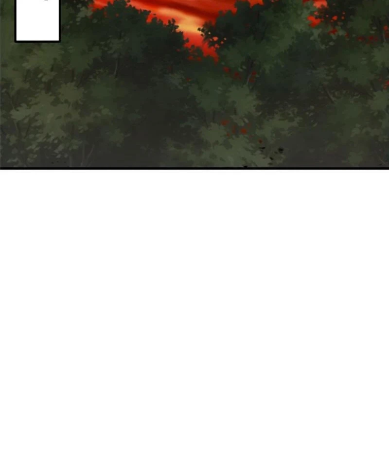 Chapter Image 13