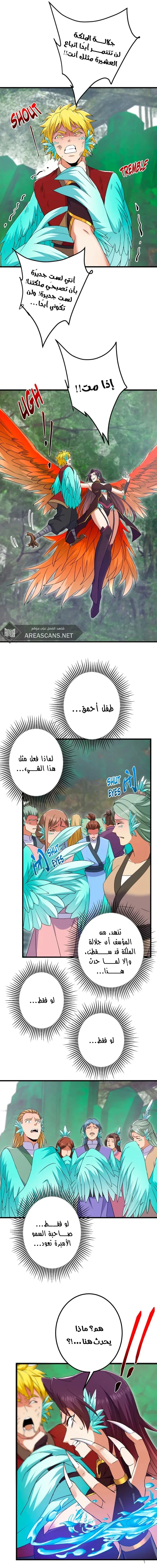 Chapter Image 15