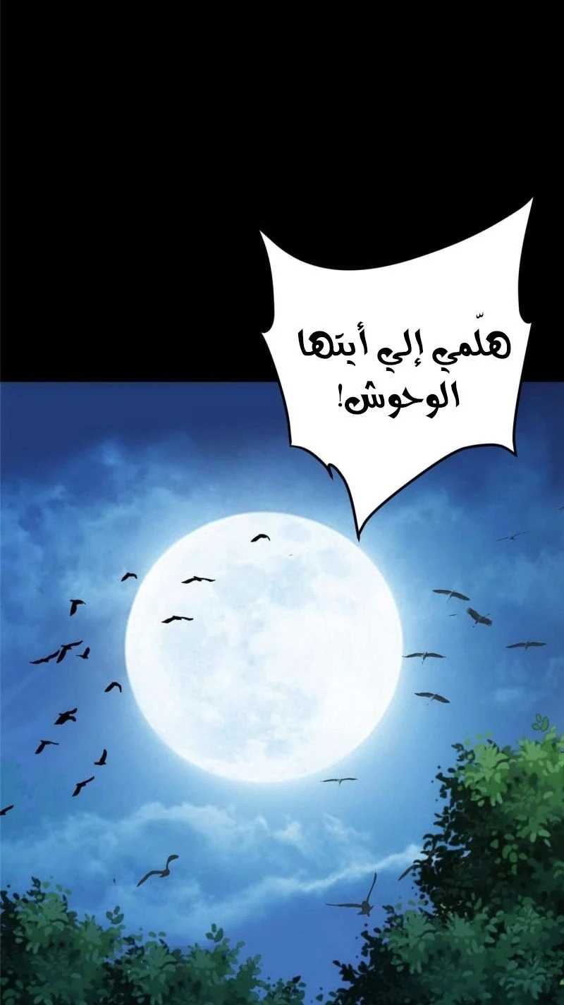 Chapter Image 13