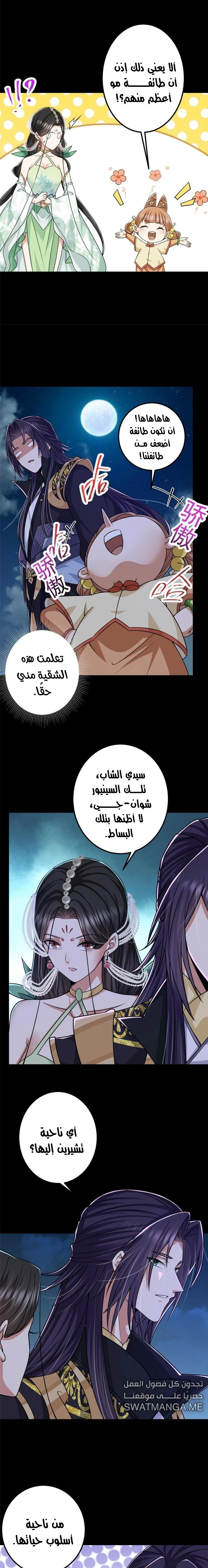Chapter Image 5