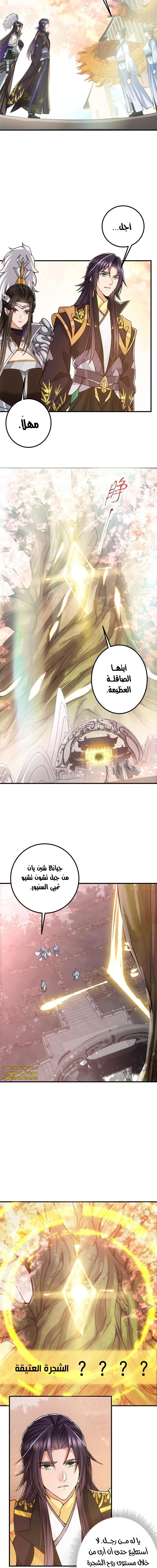 Chapter Image 5
