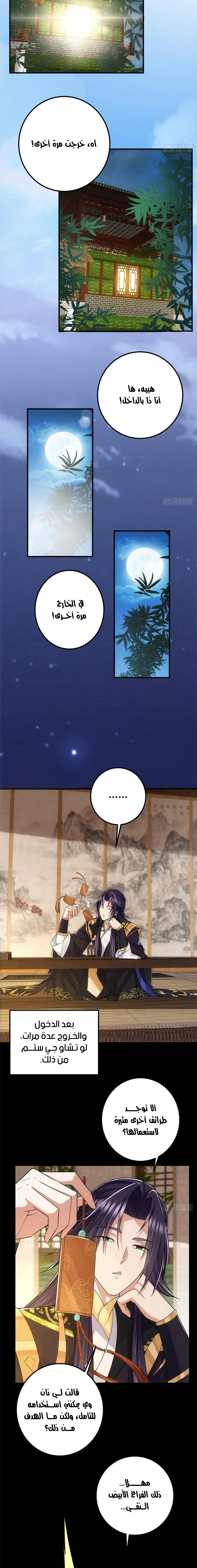 Chapter Image 4