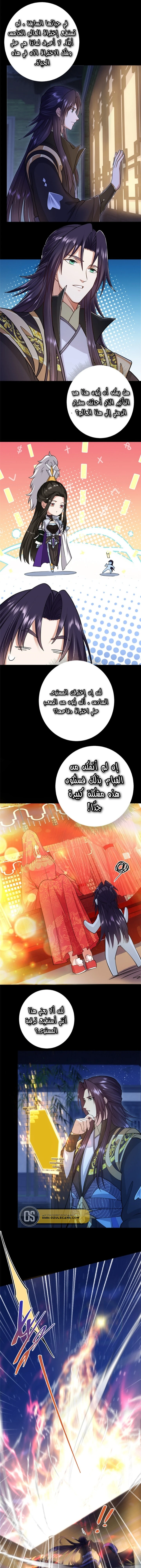 Chapter Image 4