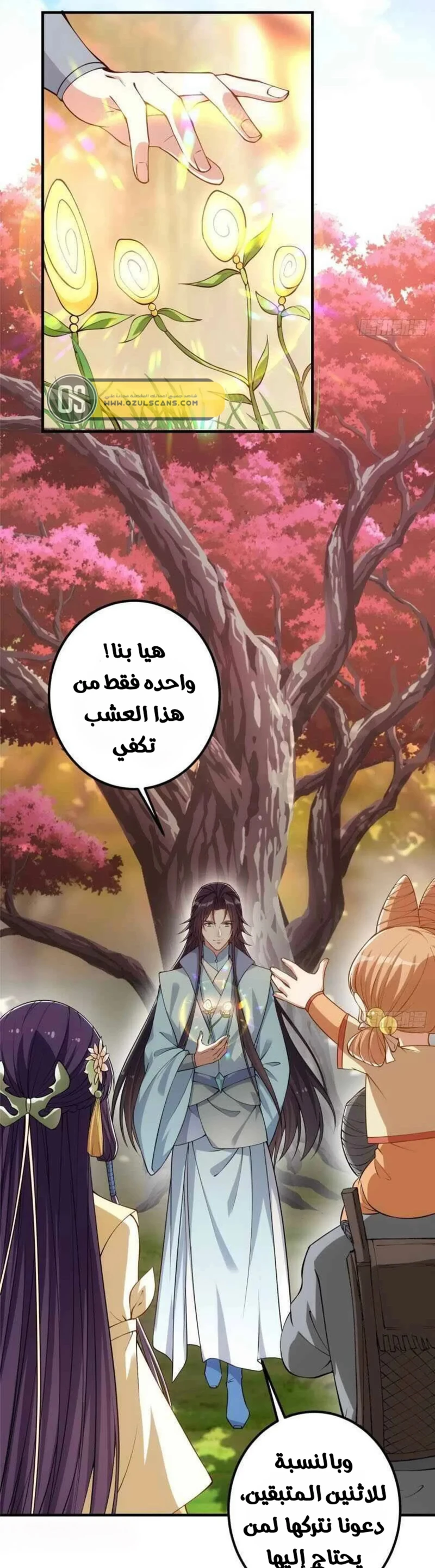 Chapter Image 3