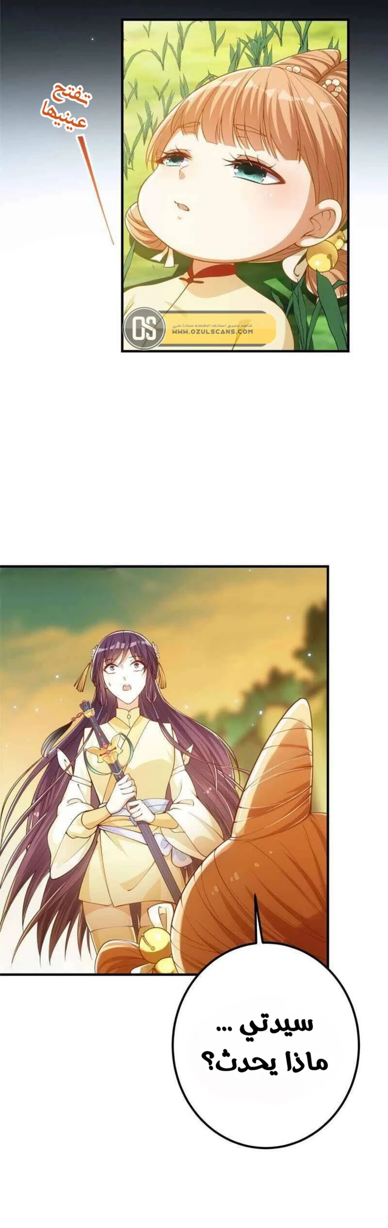 Chapter Image 6