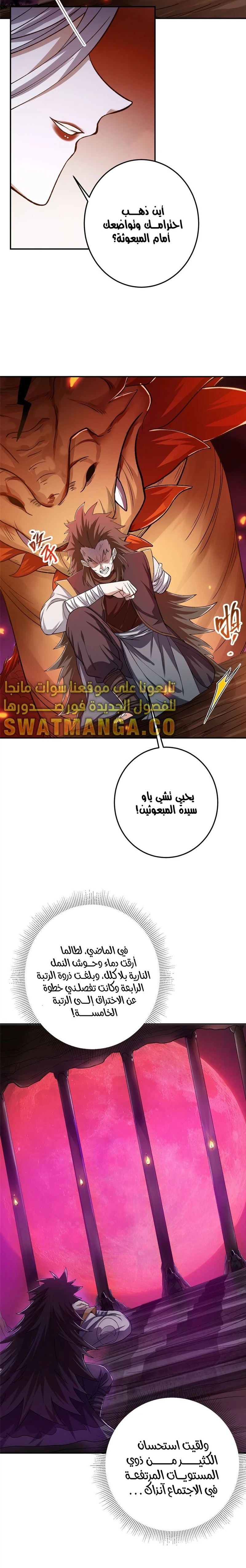 Chapter Image 5