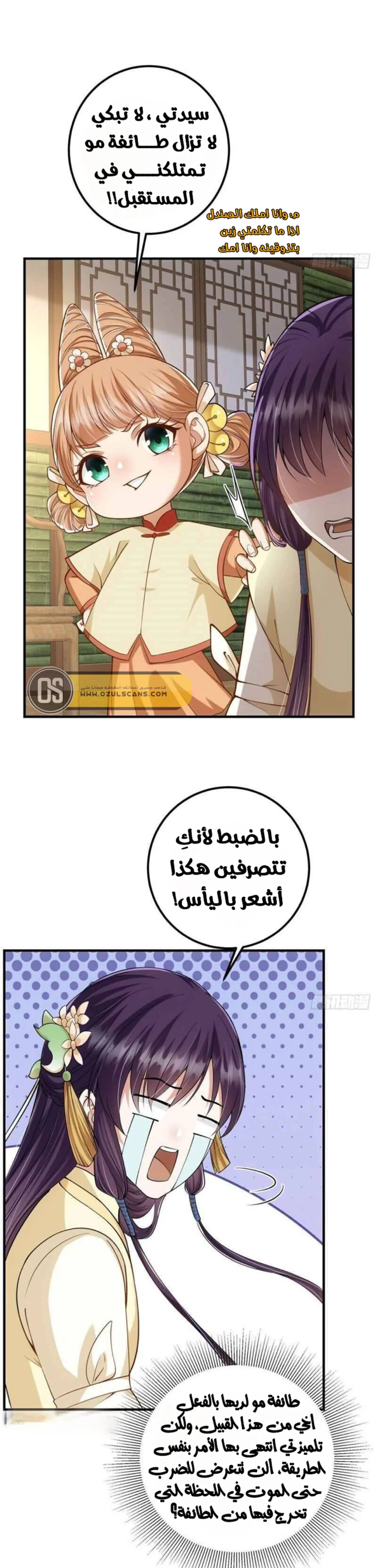 Chapter Image 7