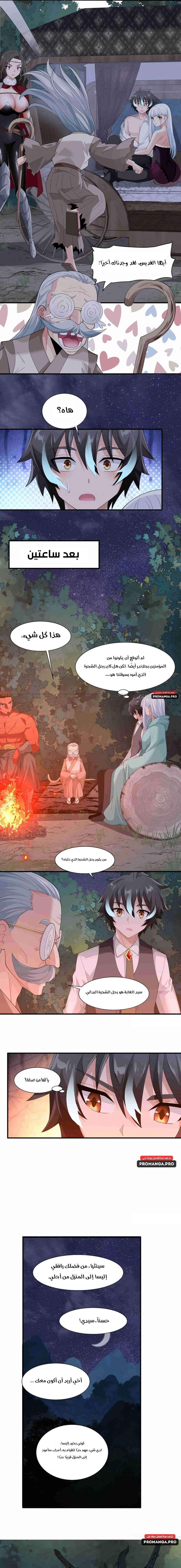 Chapter Image 5