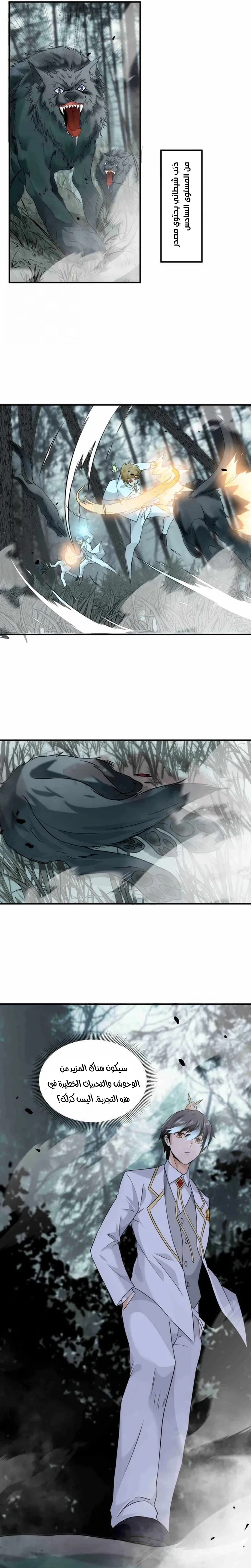 Chapter Image 17
