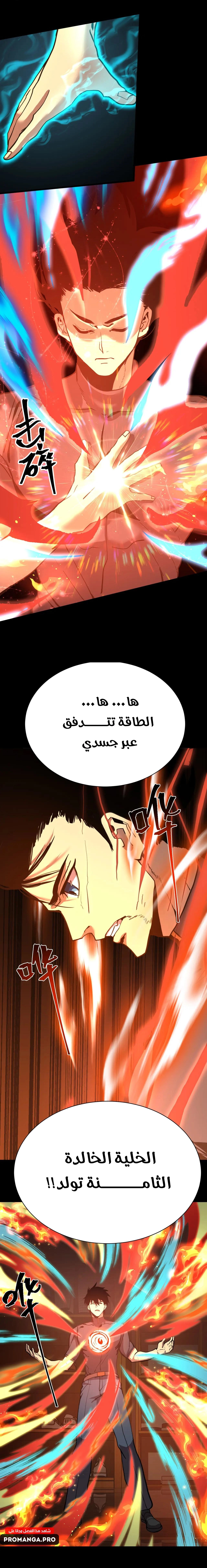 Chapter Image 8