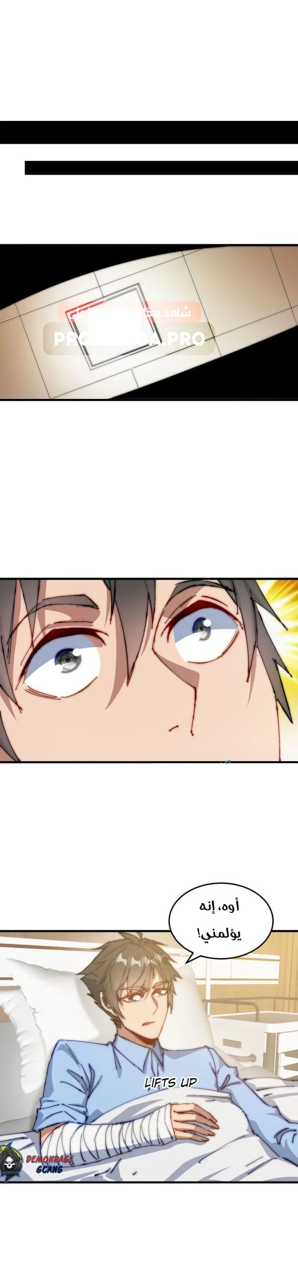 Chapter Image 2