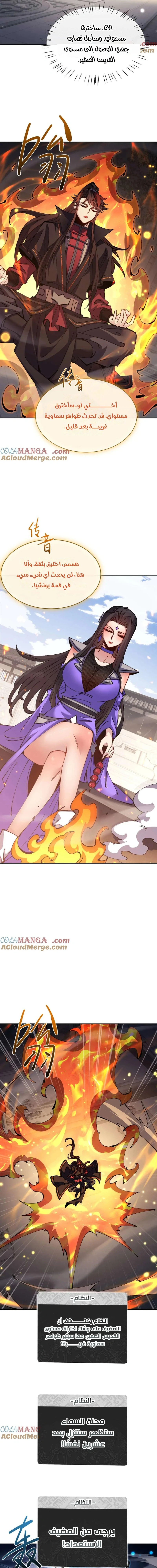 Chapter Image 11
