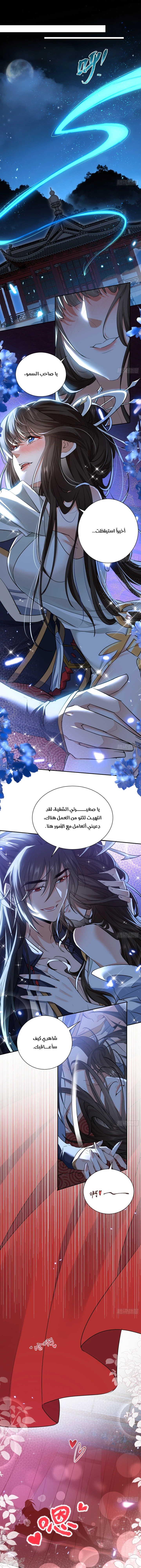 Chapter Image 14