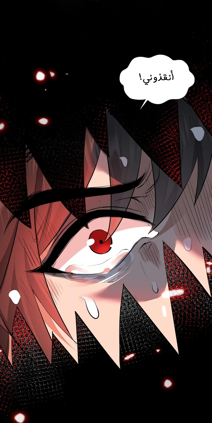Chapter Image 5