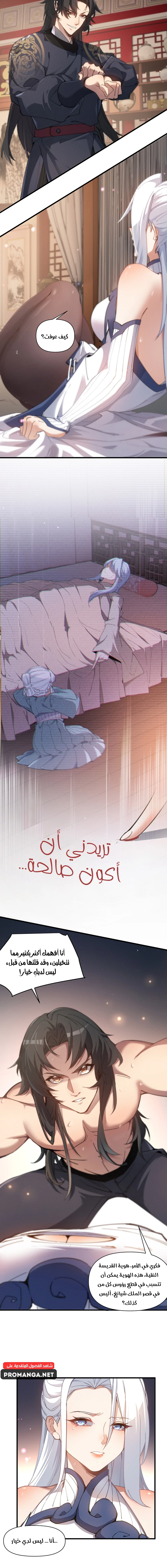 Chapter Image 14