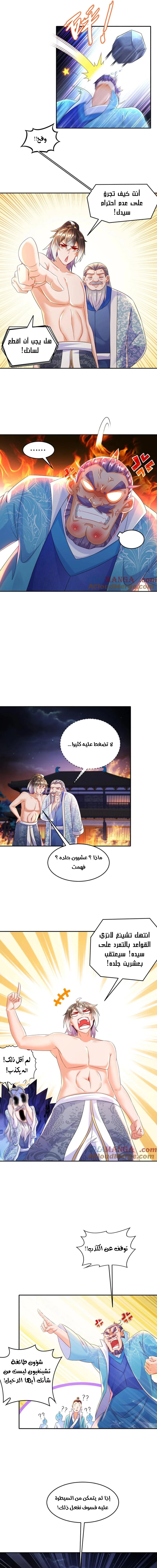 Chapter Image 5