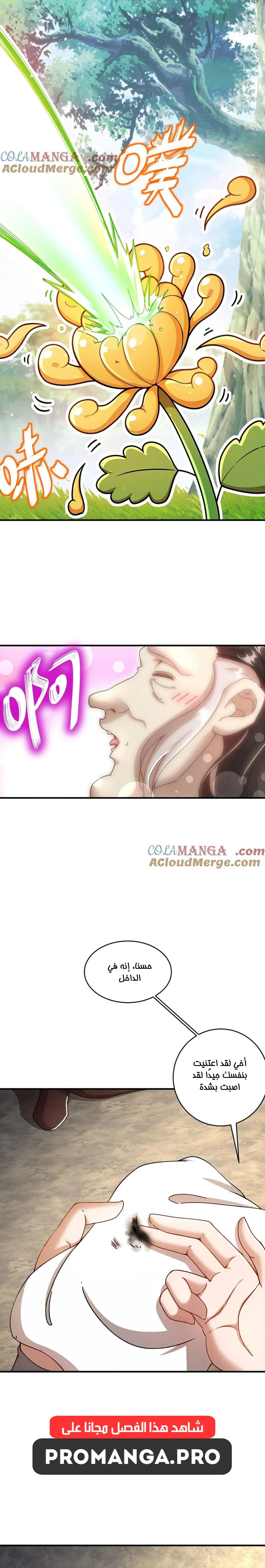 Chapter Image 6