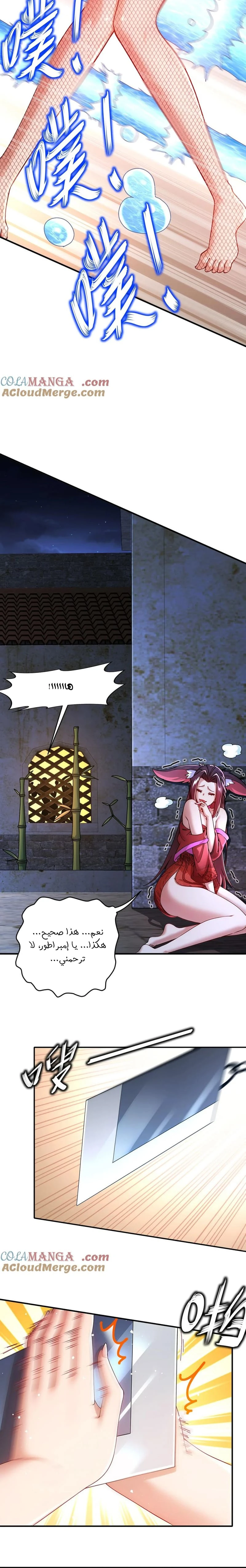 Chapter Image 4